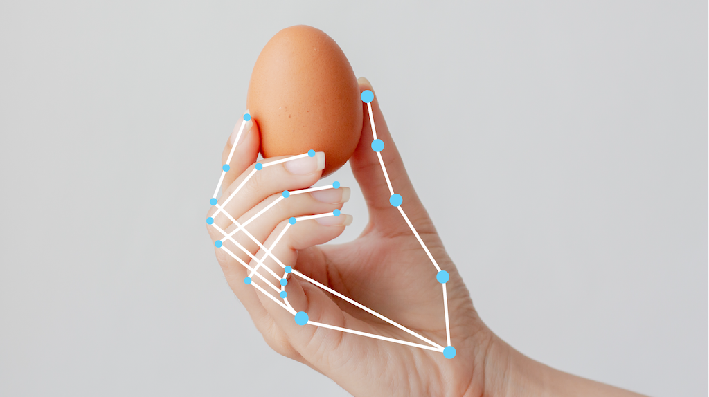A hand holding an egg. The shape of the hand is marked with a wireframe that
indicates the identified
structure